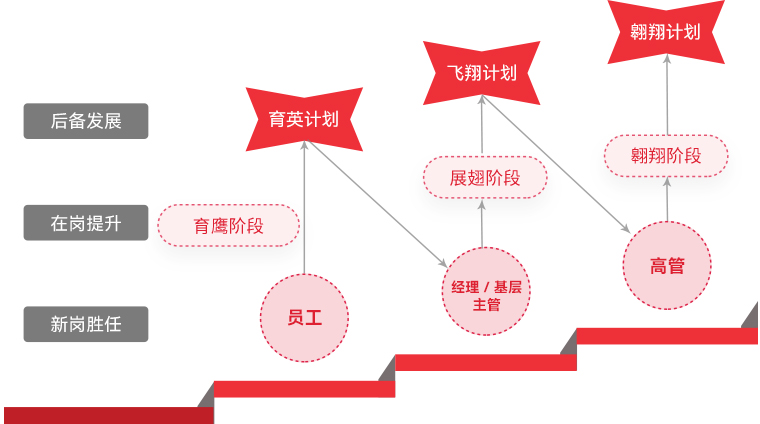 FUN88·乐天(中国游) "雄鹰计划"人才梯队培养